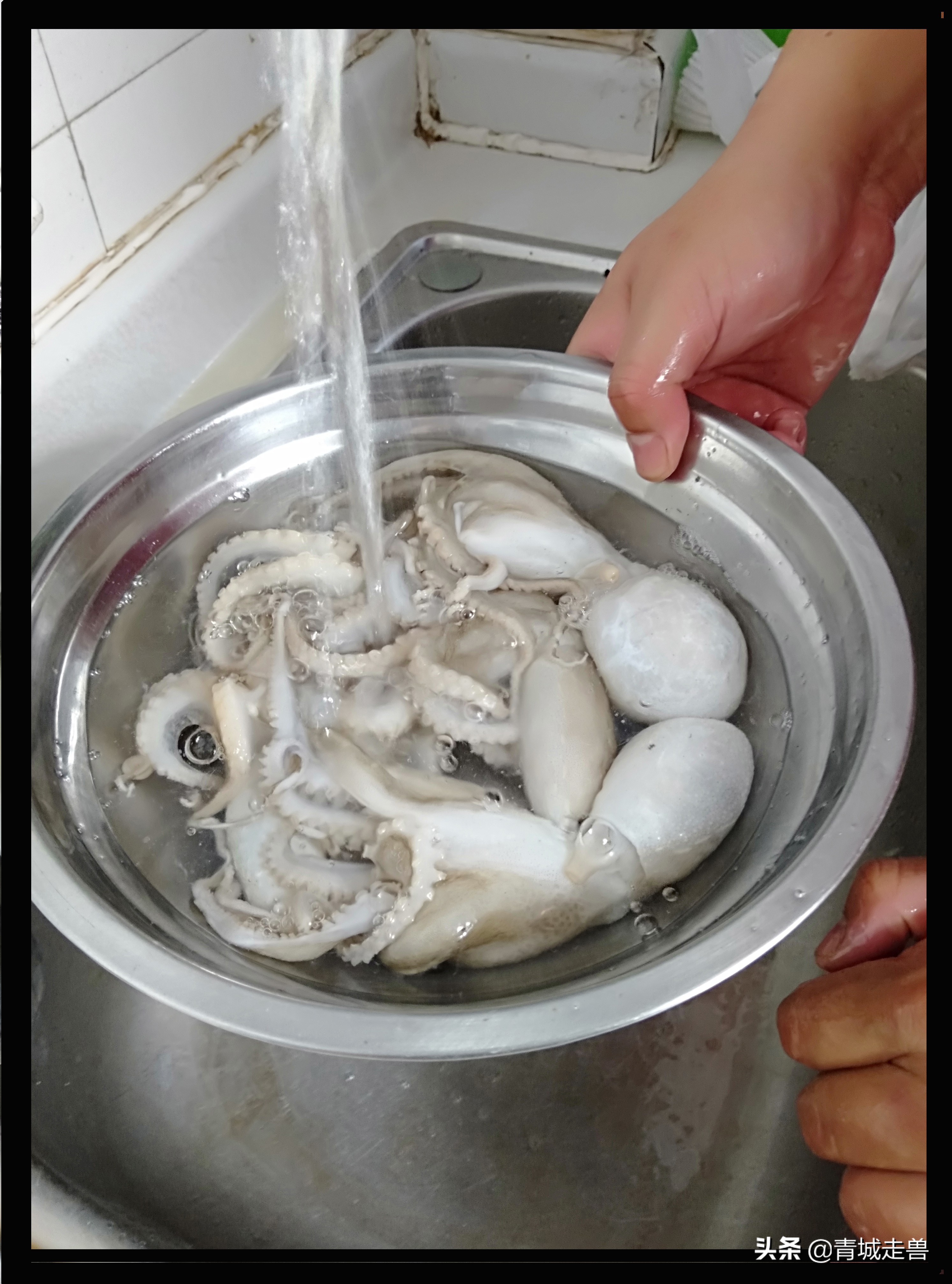 胶东八带家庭做法,胶东人喜欢吃的菜