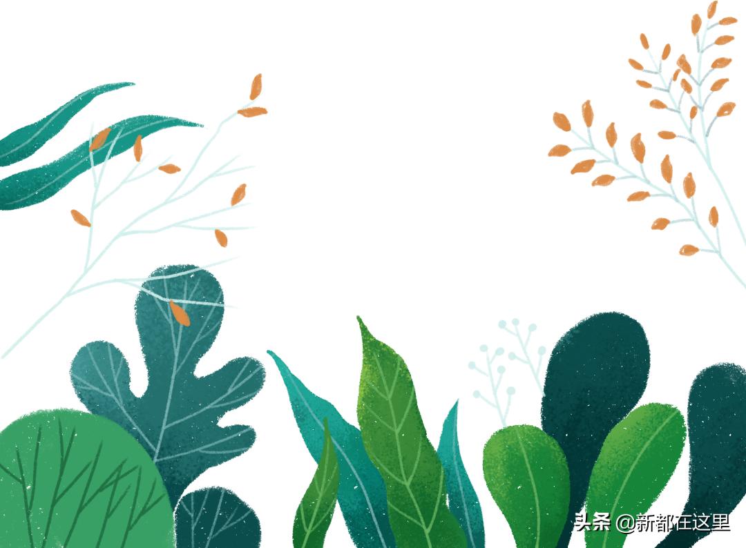 新都乘坐地铁,新都怎么乘坐公交车便宜点