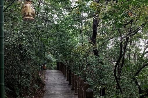 南京免费的公园,太全了全国旅游简图