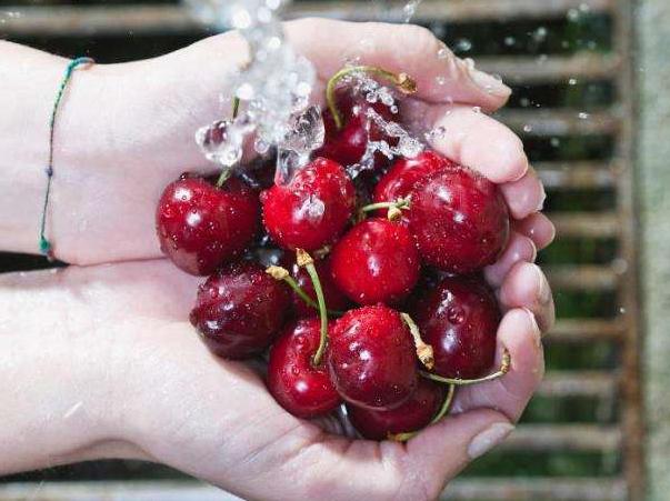 小樱桃里的虫子能吃吗,樱桃里面有蛆吃了会怎样