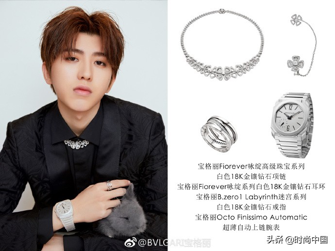 2019宝格丽蔡徐坤,18年宝格丽蔡徐坤