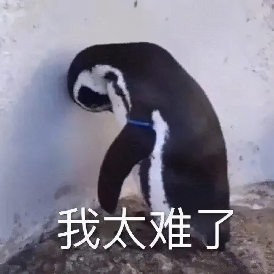 好消息哈尔滨公布10项便民措施,哈尔滨长途客运站可以买票吗