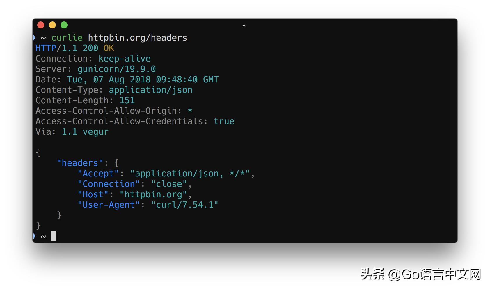 go语言爱好者周刊第28期,go语言爱好者