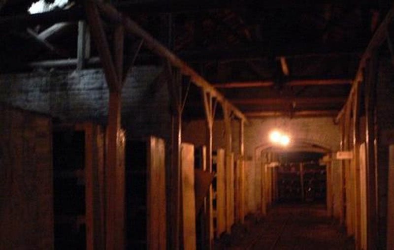 幸存者眼中的“石门集中营”：地狱中的炼狱，无人生还的活人坟墓