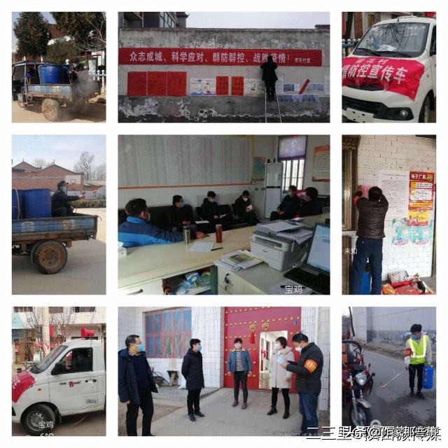 扶风杏林菊花村,宝鸡扶风杏林菊花村