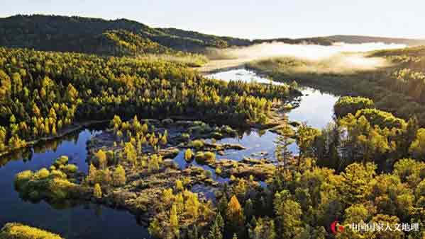 黑龙江伊春马莲林场,黑龙江伊春在中国地图哪个位置