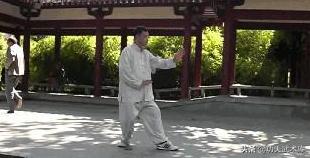 形意拳五行拳的三种练法图解,宋氏形意拳之五行拳教学练法