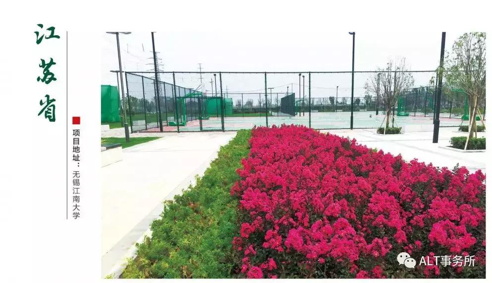 天鹅绒紫薇花烂漫,花争艳