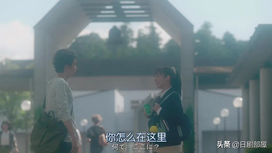 醒来发现妻子换了个人，又一部反婚反育日剧？