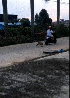 为啥加油站月薪两千还没人辞职,加油站上班工作强度大吗累吗