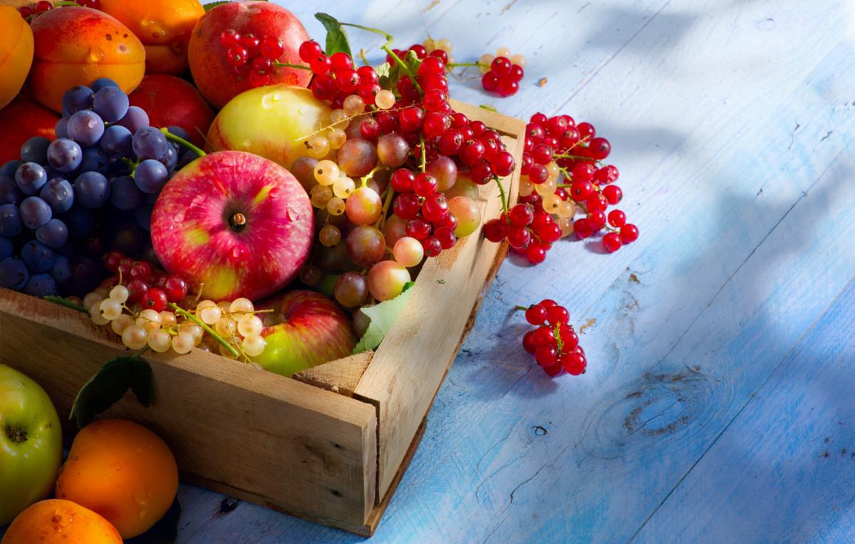 常见的食物中毒后的解毒方法,历史上食物中毒
