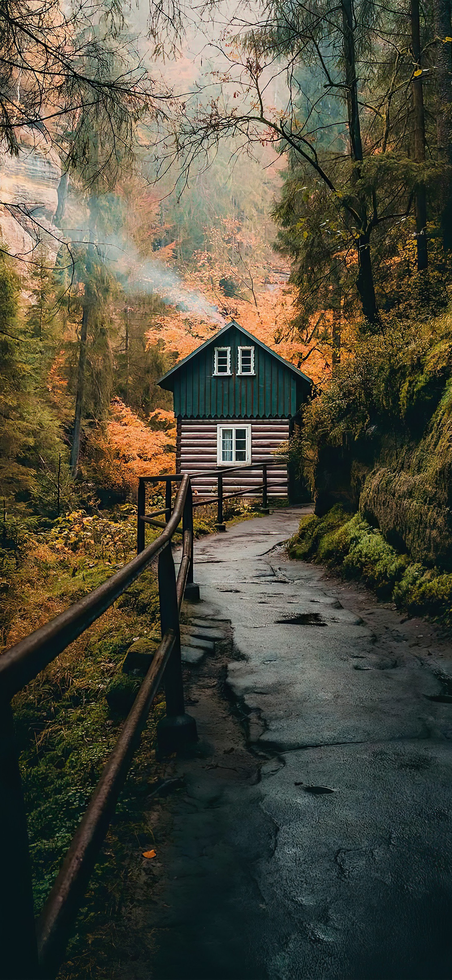 夏天风景竖屏壁纸,夏天有小路风景壁纸