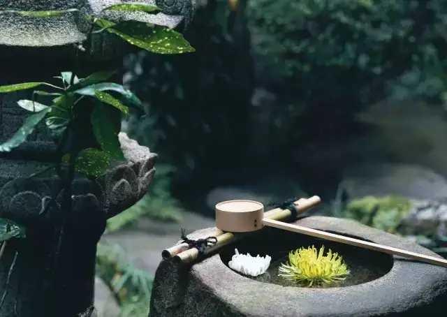 散文岁月因生命的淡然而静美,散文一颗纯净自我的心