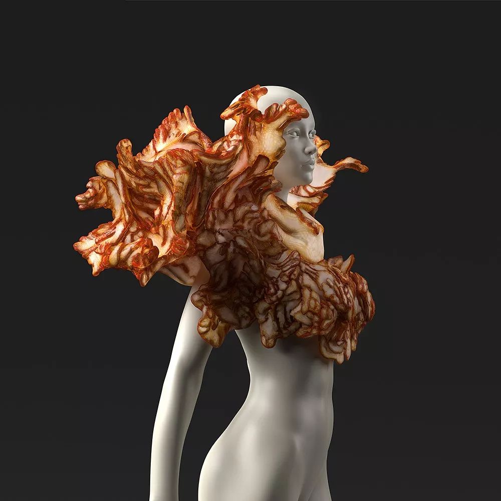 亚文化2013,亚文化2019