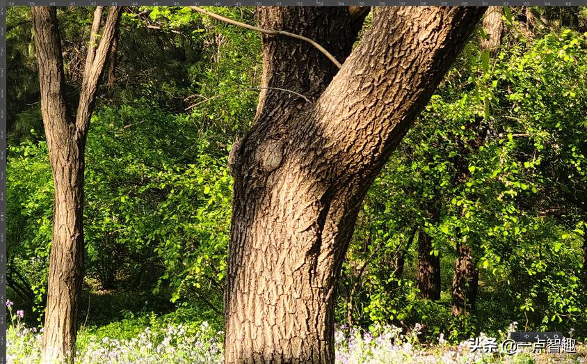 一亿像素手机拍照对比,主摄一亿像素的手机