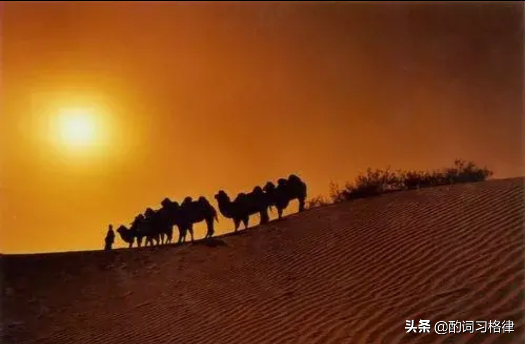 图片唯美意境风景加文字,图片唯美意境带文字