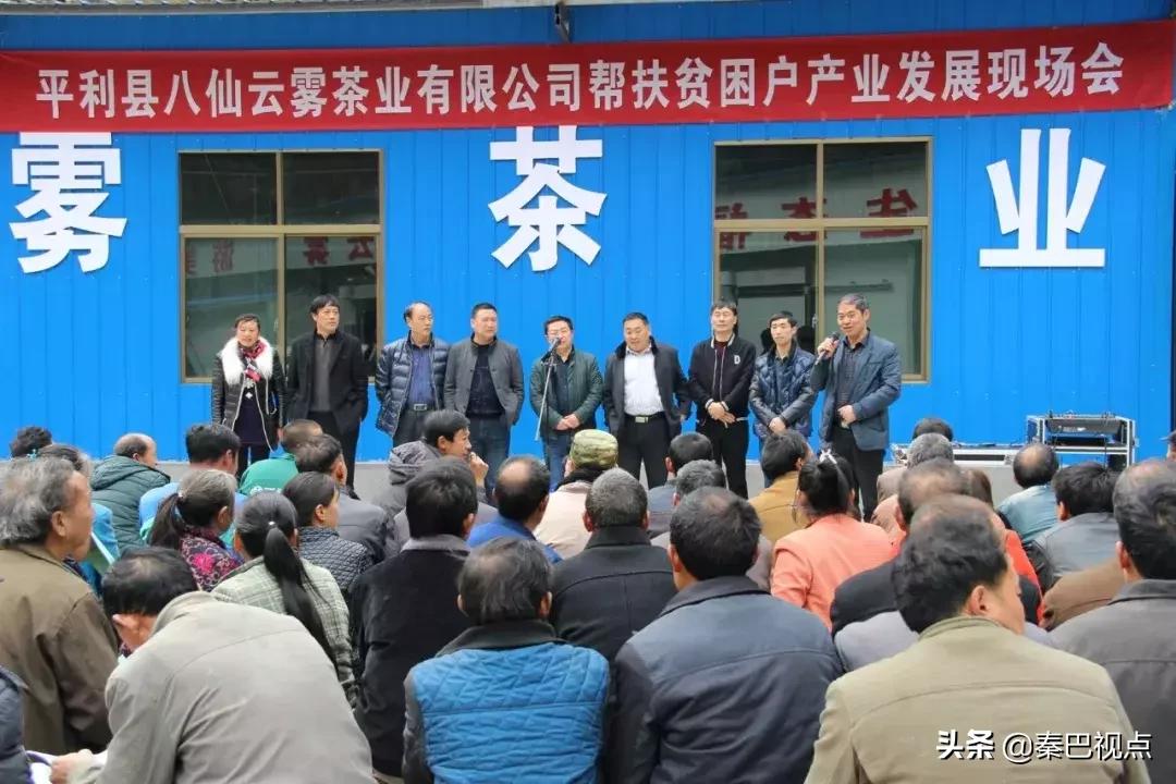 「非公*党**建专题」陈武成：云雾之上*党**旗红