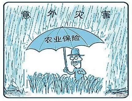 什邡社保新政策2019,农民朋友交农业保险费