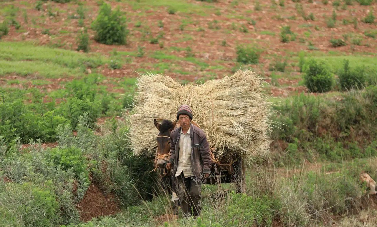 只能自己摸索前进文案,在摸索中前进是谁说的