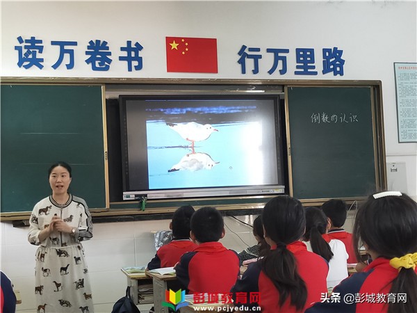 小学数学课堂教学掠影,小学数学教学改革观摩交流活动