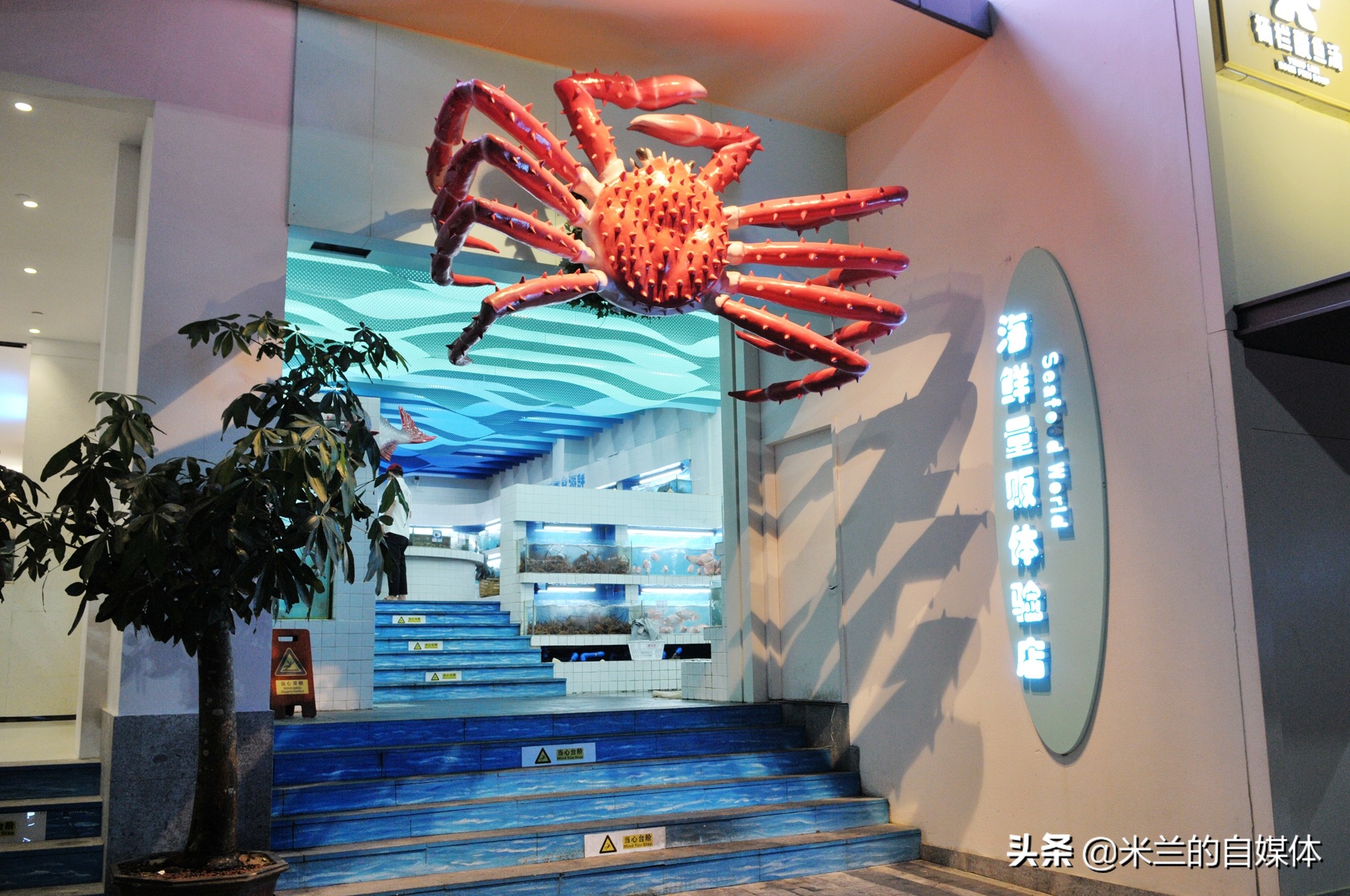 三亚旅游攻略美食推荐,三亚旅游美食攻略自由行