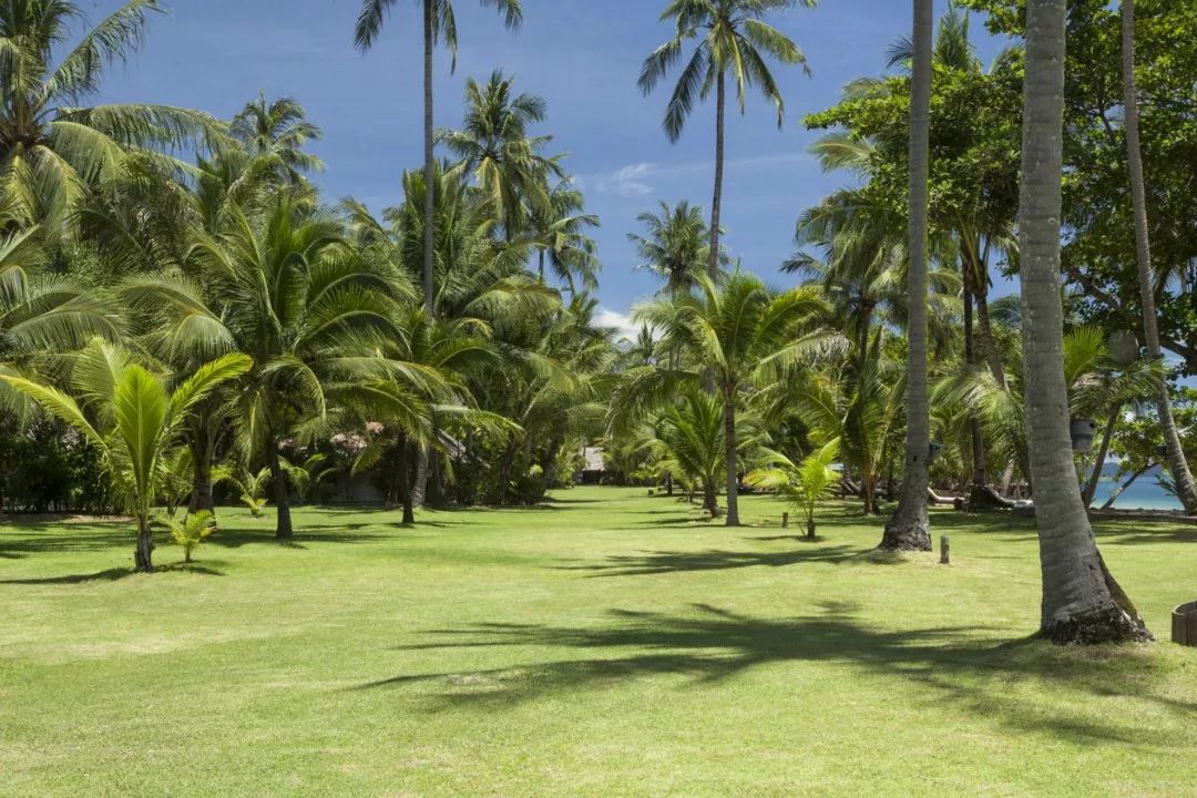 普吉边上的小众海岛，竟然有这么多好酒店？