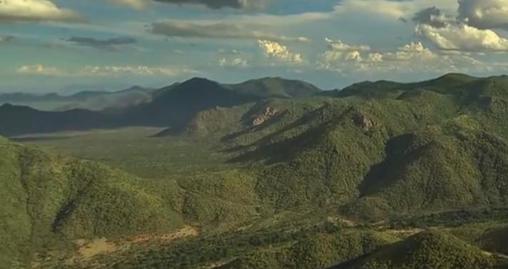 大象大战100只多头蛇,大象之间的求偶战