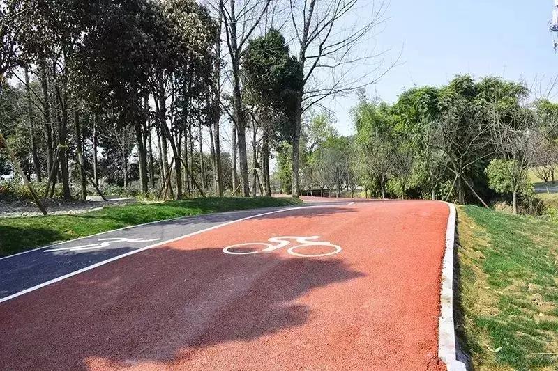 双流夜景必打卡之地,成都双流免费打卡景点