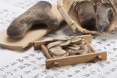 炖鹿茸吃要禁忌什么食物,鹿茸的功效与作用与禁忌