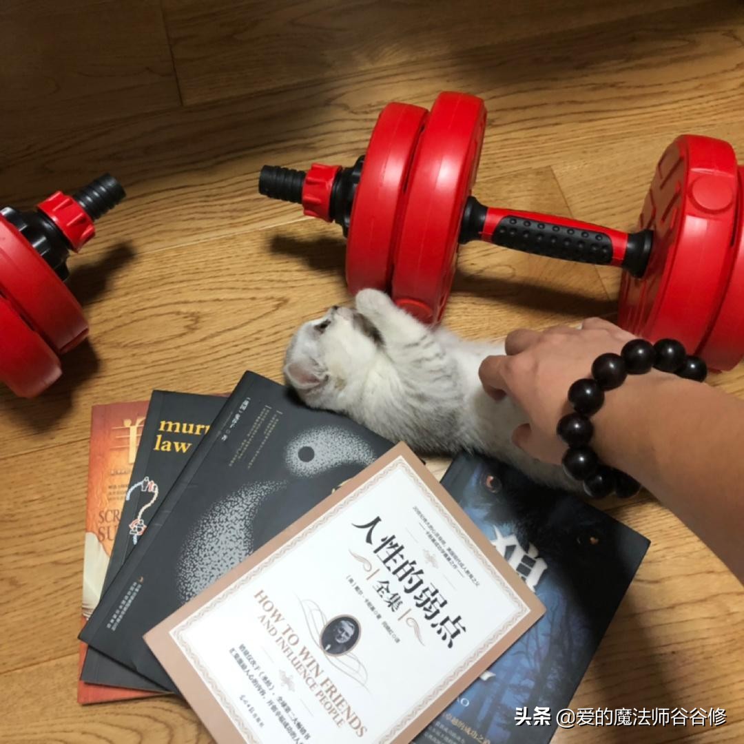 网络成瘾的预防与戒除,网络成瘾其实是一种精神疾病