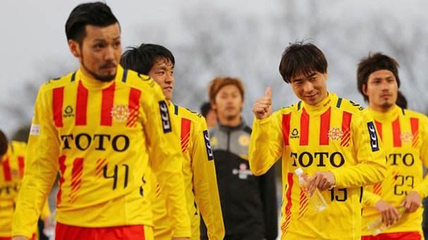 北九州向日葵为什么这么厉害,北九州向日葵最新预测