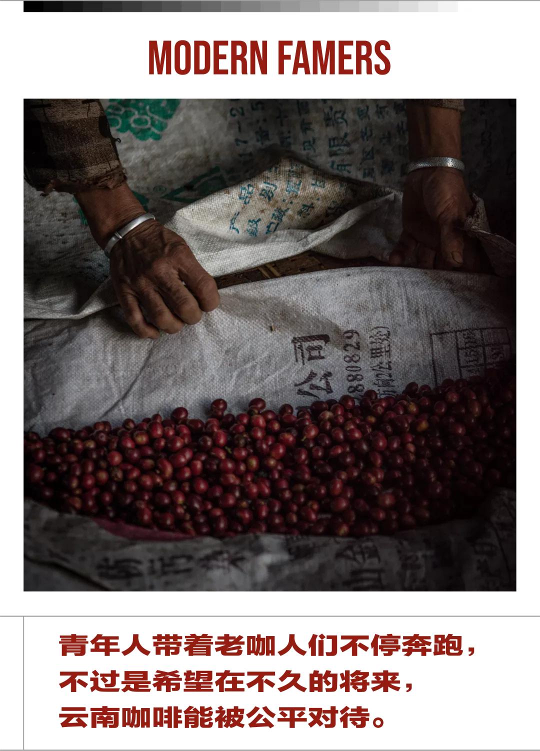 云南咖啡排名,云南咖啡十大品牌