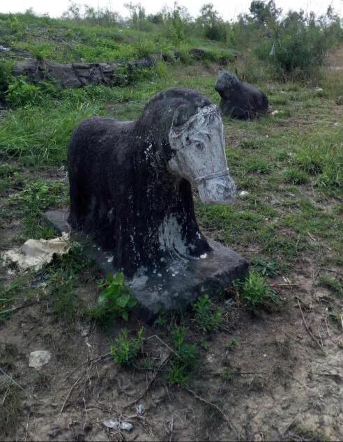 顺子的故事,顺子的故事全集