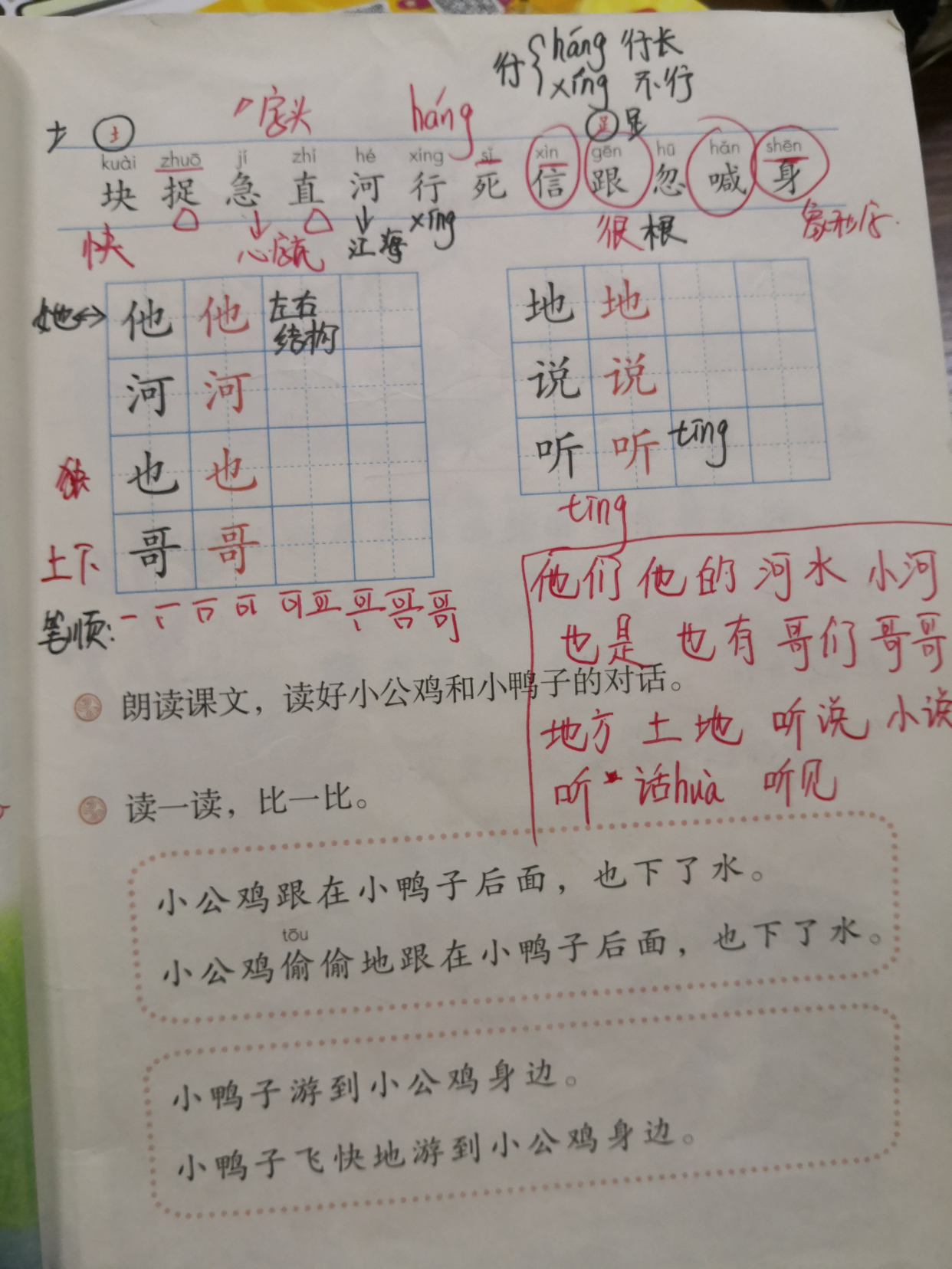 一年级下册公鸡和鸭子知识点,一年级第五课小公鸡和小鸭子生字