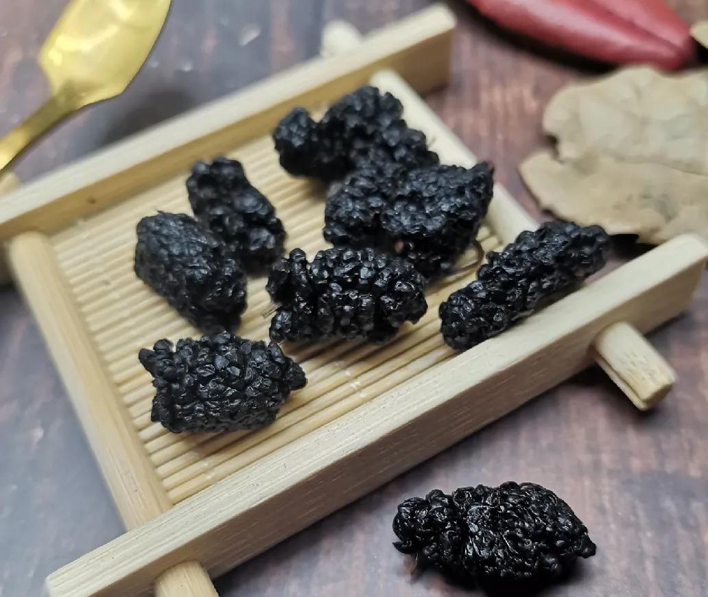 中药五种桑的功效,中药里面的桑黄