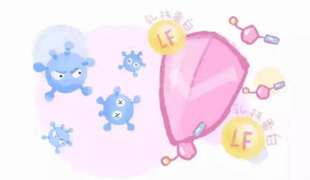 奶粉知食帮：为什么相同品牌的奶粉，国外版添加的元素比国内少？