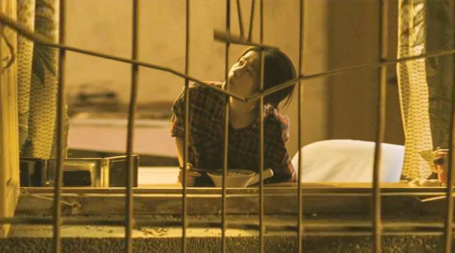 流浪的耗子2013,流浪的耗子