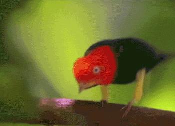 生物学的惊天大秘密,你不可不知的五十个生物学知识