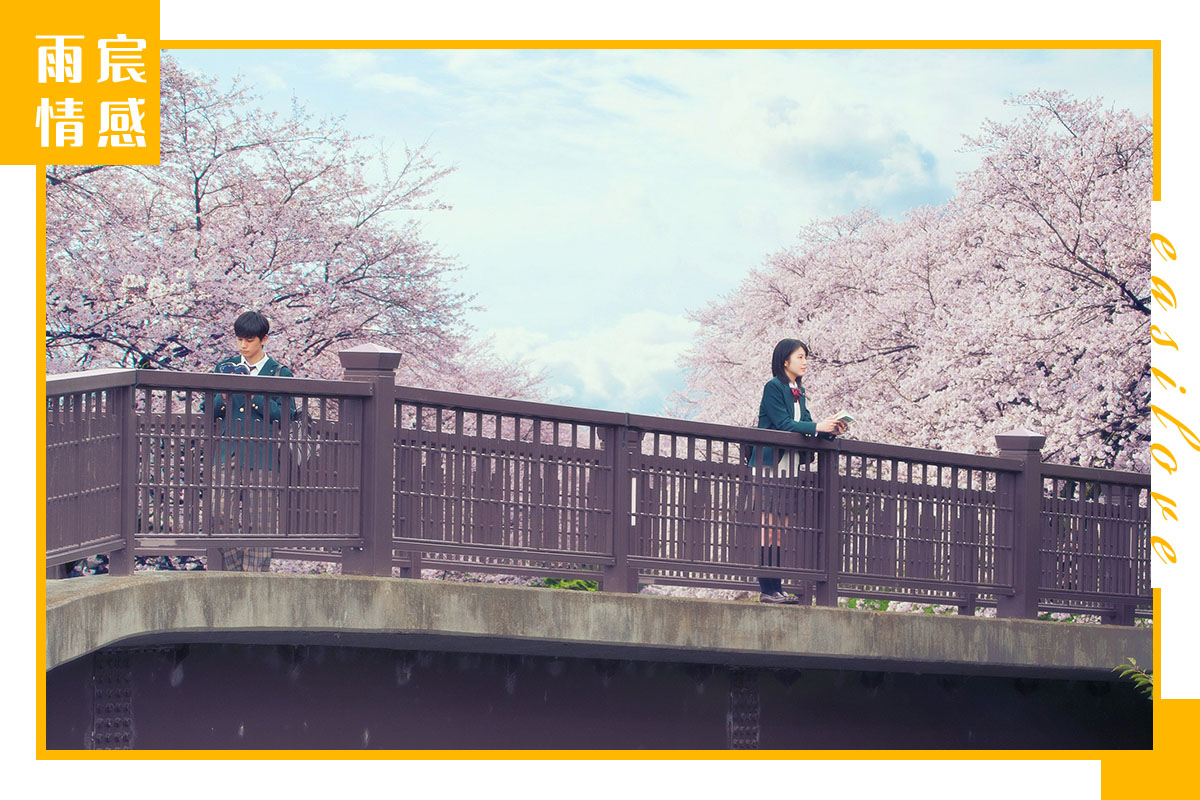 回避型依恋转为安全型的表现,回避型依恋最后的归宿