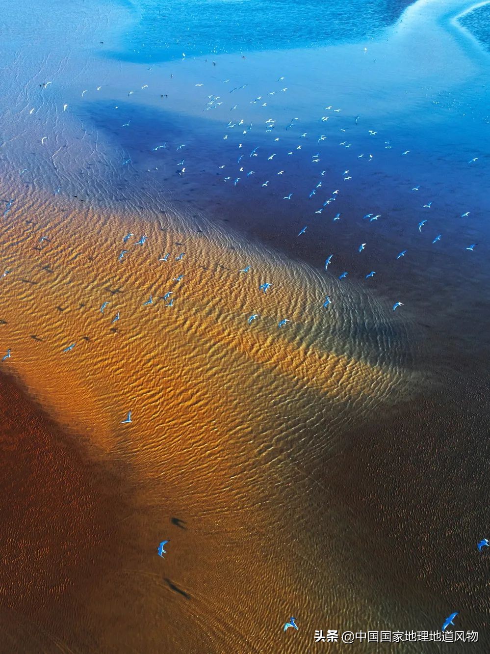 福建省会福州怎么样,福建的省会为什么是福州