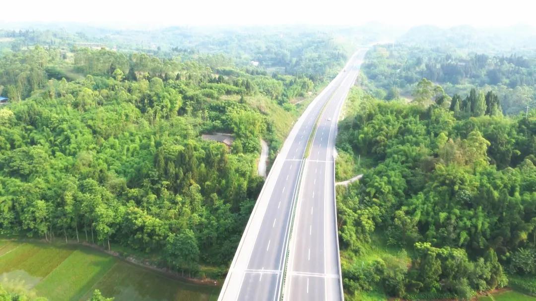 井研这五年丨门坎镇：“竹韵门坎”蝶变跃升