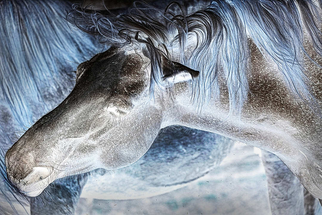 拍马都追不上的成语,拍马都赶不上的成语