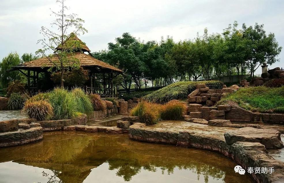 奉贤区南桥镇旅游景点,上海奉贤景点推荐一日游最佳路线