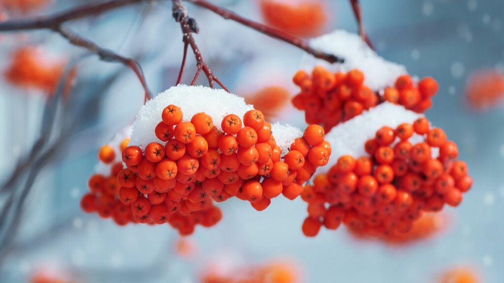 摘抄一首描写山水田园风光的诗,描写田园风光的四句诗词