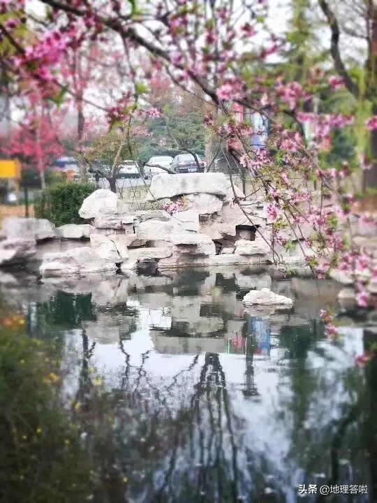 济南舜耕历山遗址,济南市市中区舜耕路舜耕山庄