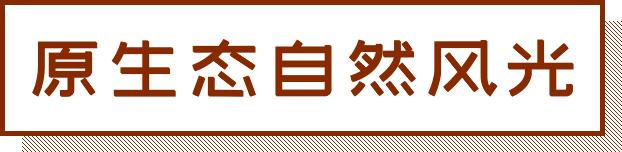 深圳风景最好的岛,深圳有个什么旅游岛