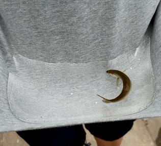 夏日防水喷雾,纳米材料防水喷雾