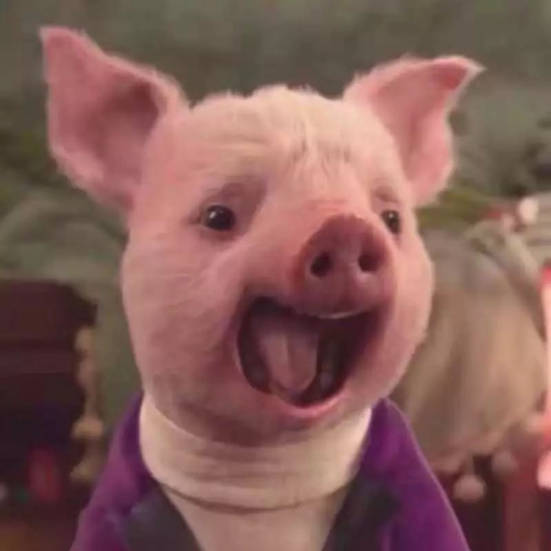 六月的雨和晴天,六月的晴天