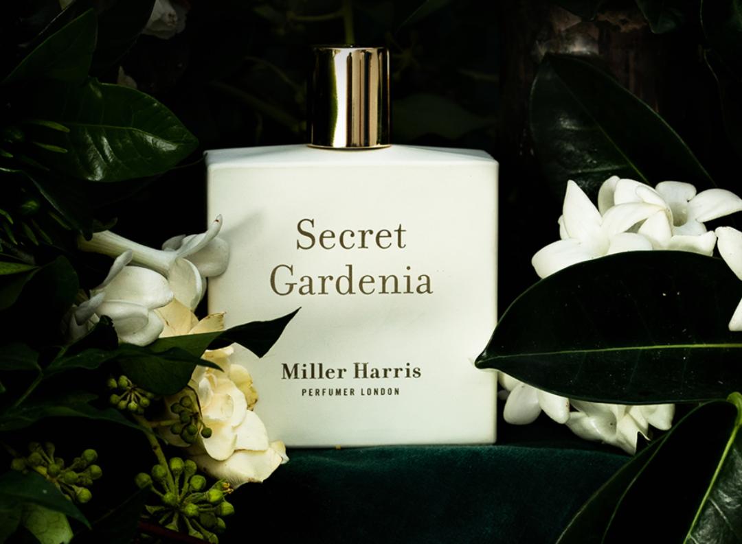 hb美妆官方旗舰店直播,HB化妆品使用套盒