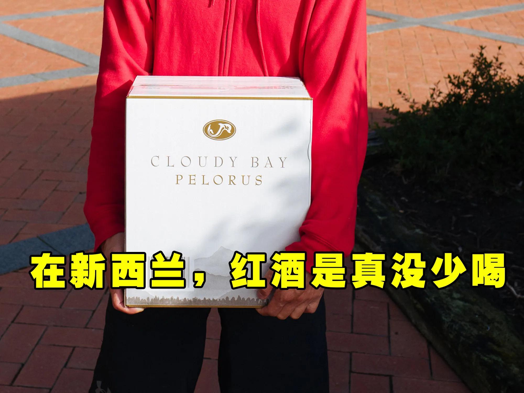 新西兰生活真实感受,中国人在新西兰生活的真实感受